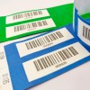 Festival wristband with QR code