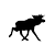 Moose (k)