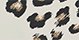 flowers1.png