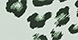 flowers1.png
