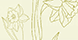 flowers1.png