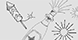 flowers1.png