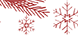 flowers1.png