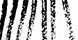 flowers1.png